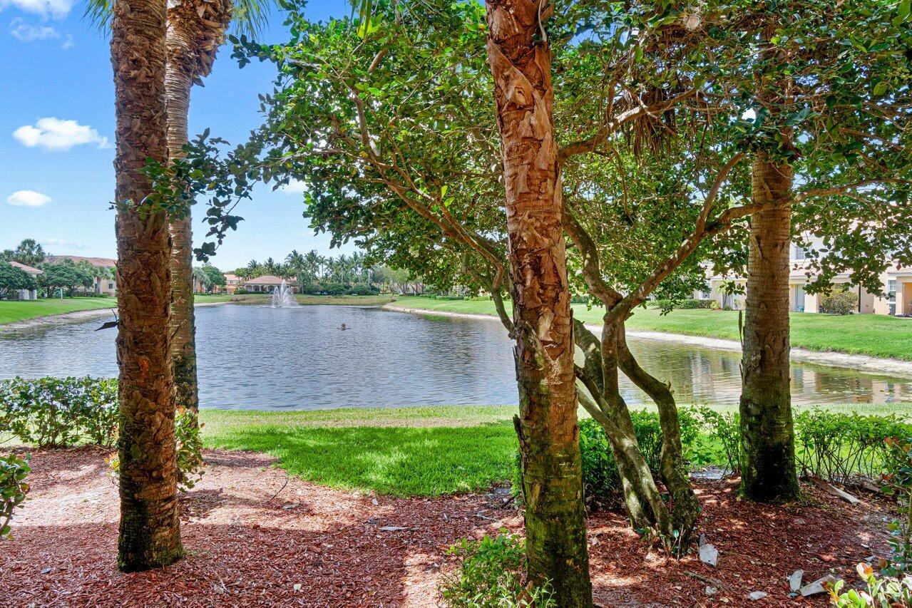 7352 Briella Drive