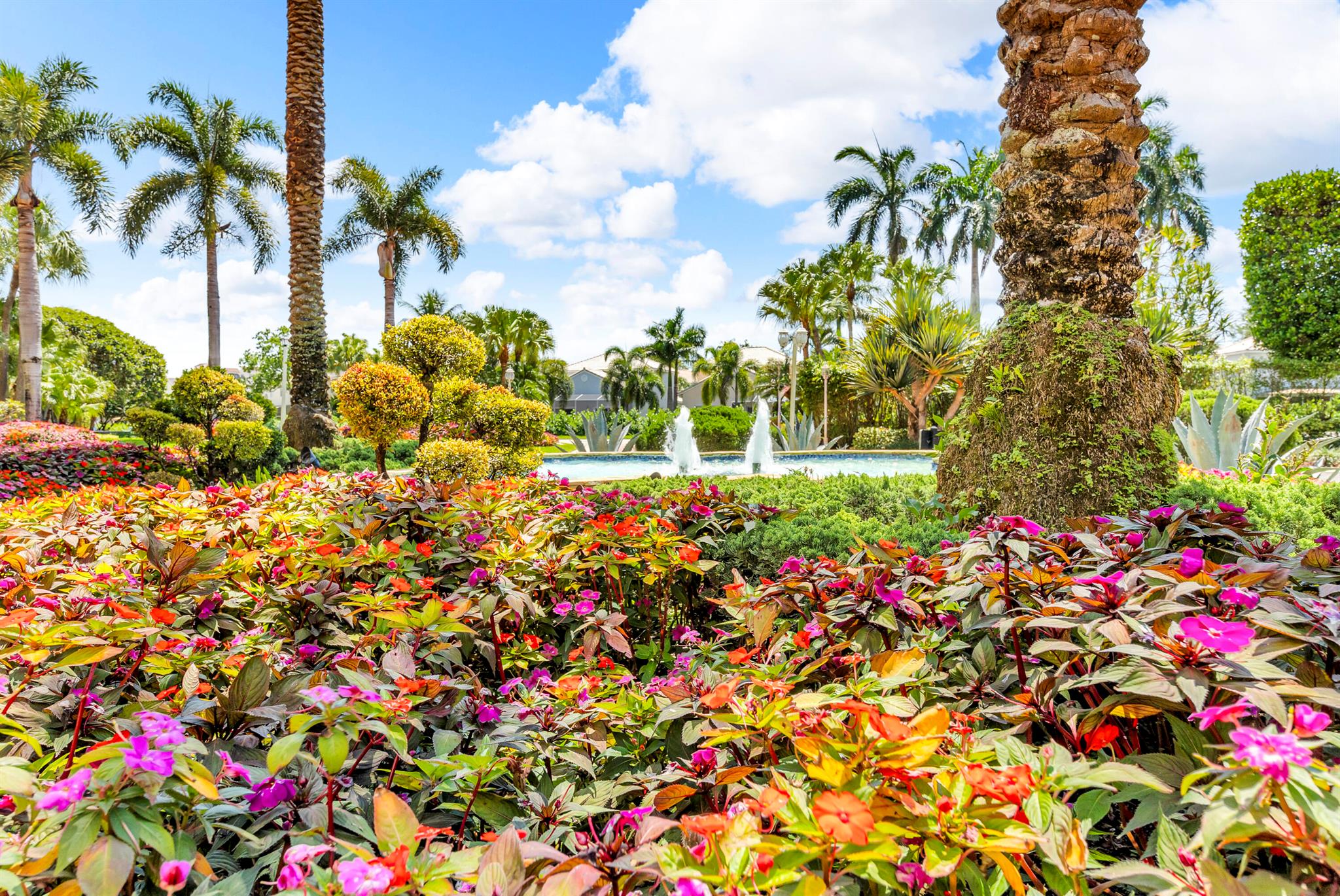 7351 Promenade Drive 801f