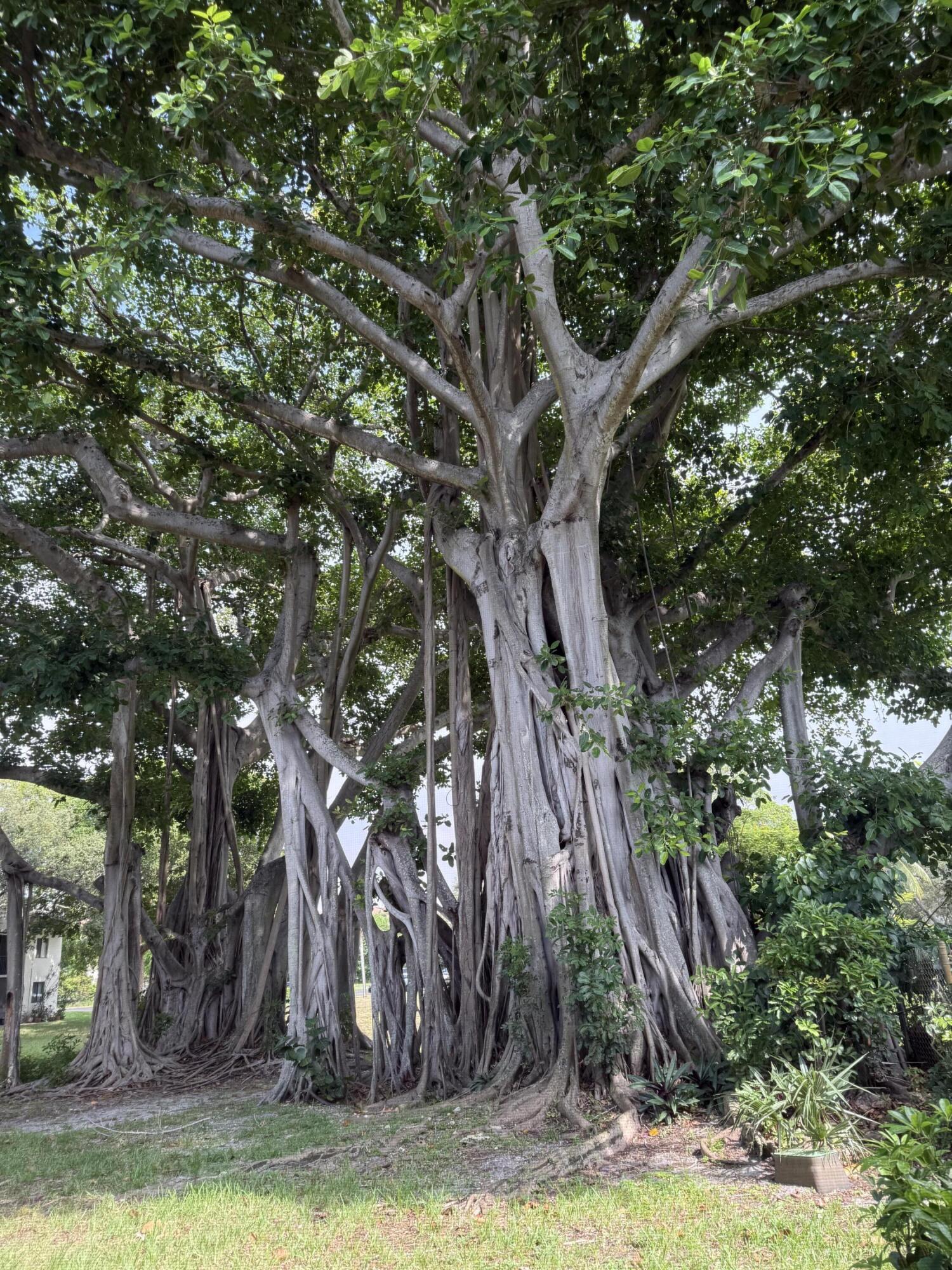 170 NW 70th Street E 1030, Boca Raton Unit: 1030