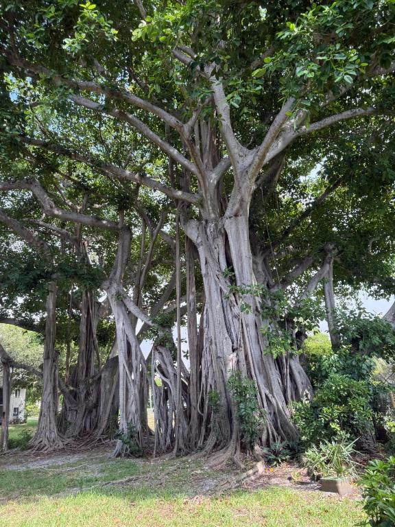 170 NW 70th Street E 1030, Boca Raton Unit: 1030