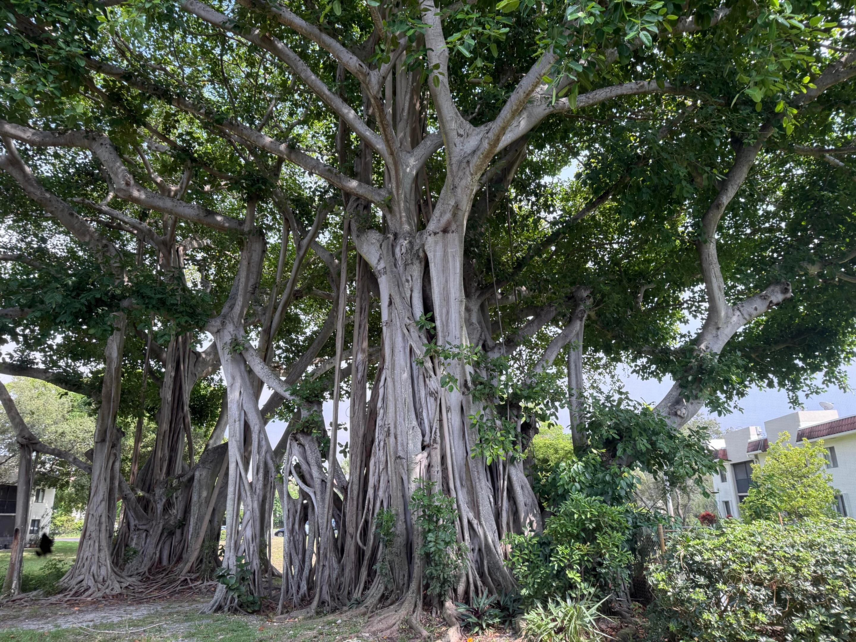 170 NW 70th Street E 1030, Boca Raton Unit: 1030