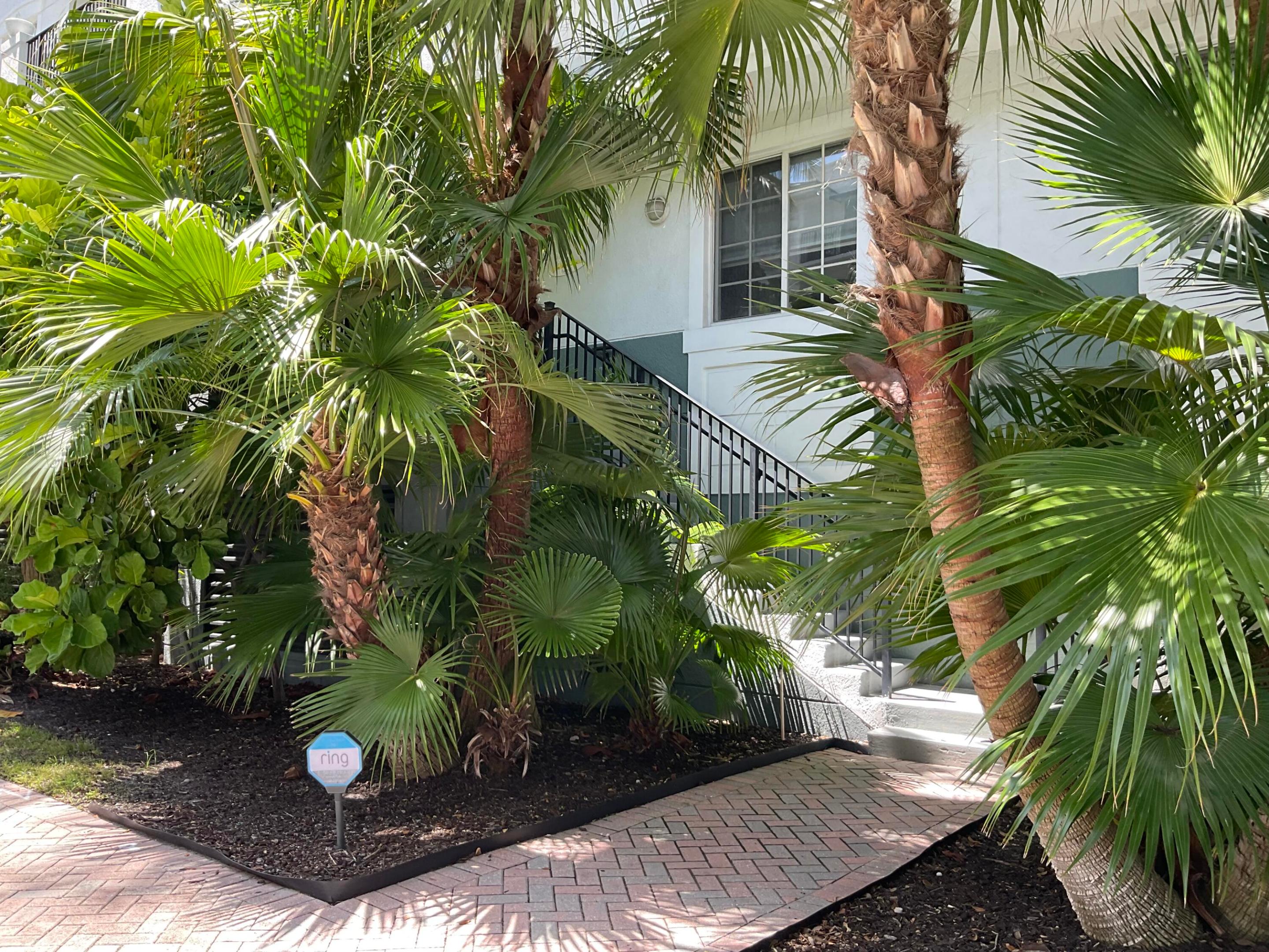 250 NE 3rd Avenue 218