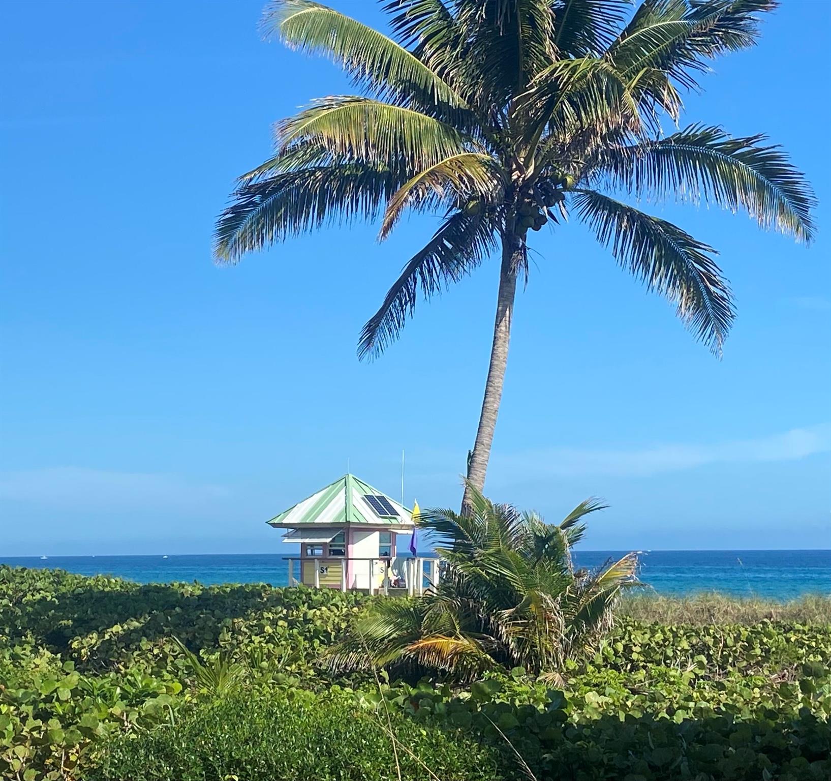 250 NE 3rd Avenue 218