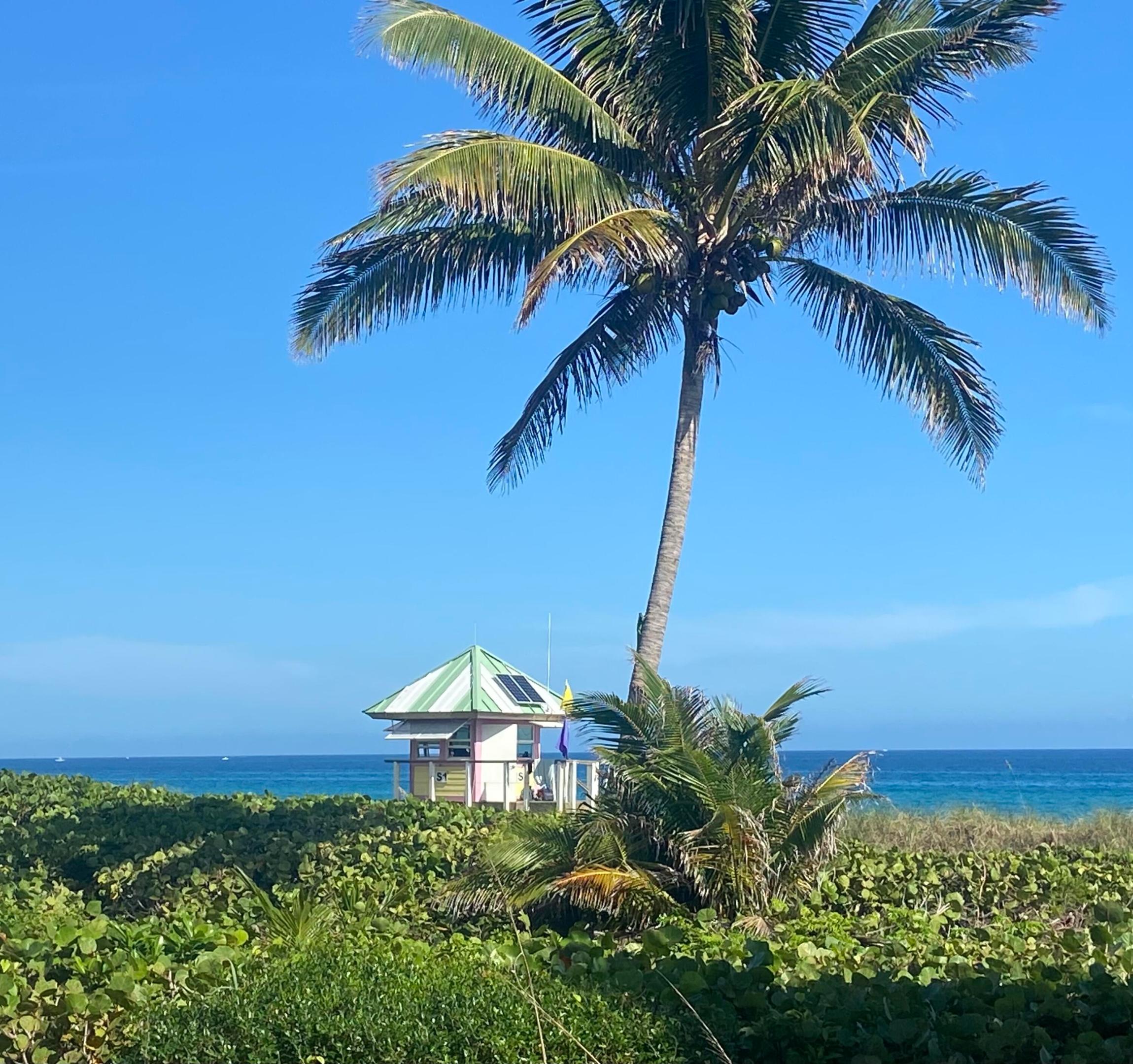 250 NE 3rd Avenue 218