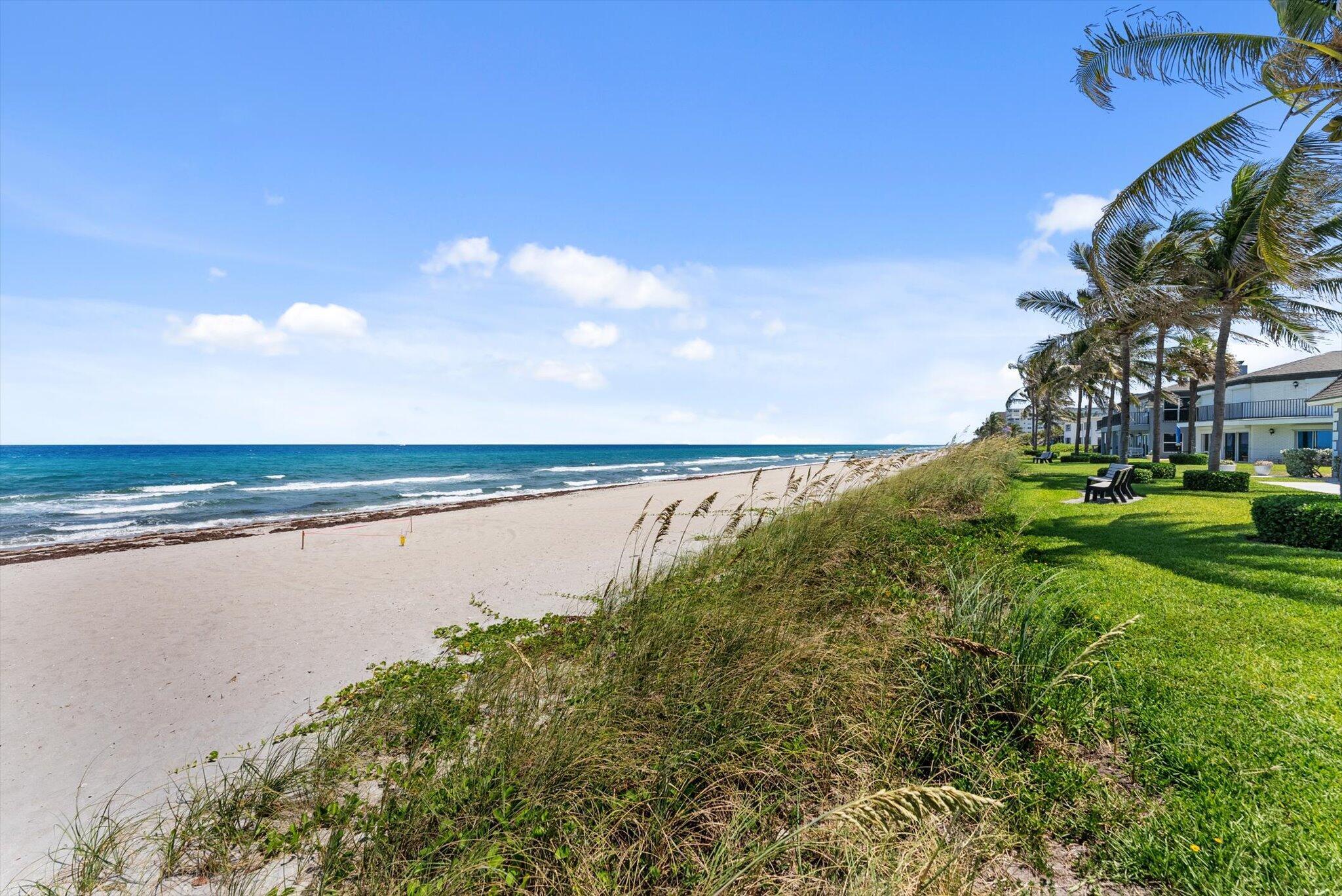 1194 Hillsboro Mile 31