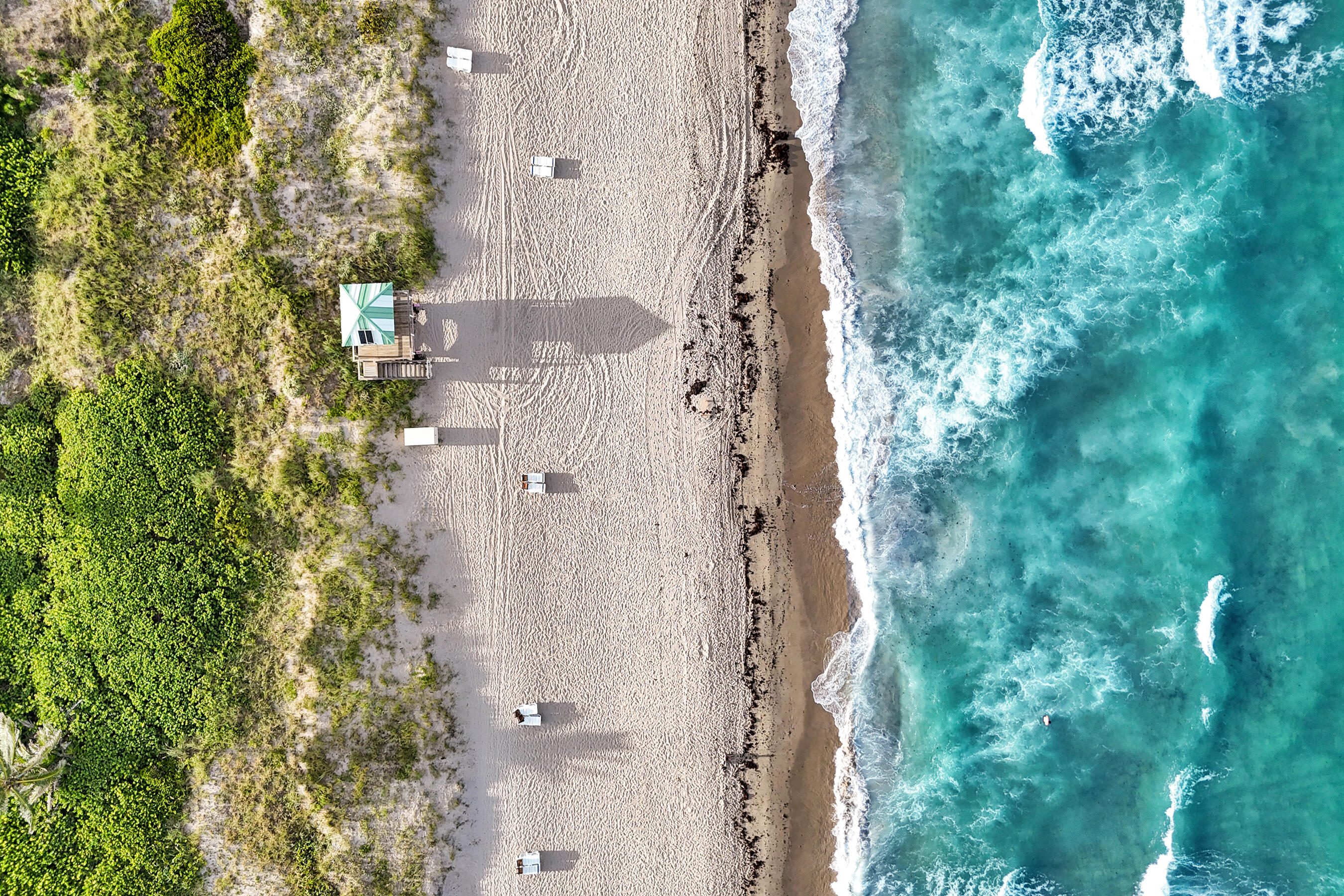 1177 George Bush Boulevard 208