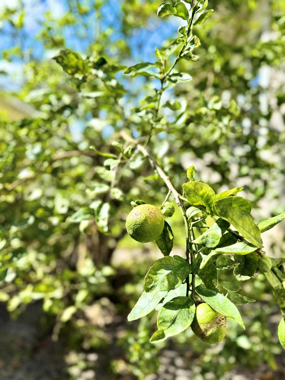 7978 SE Hempstead Circle