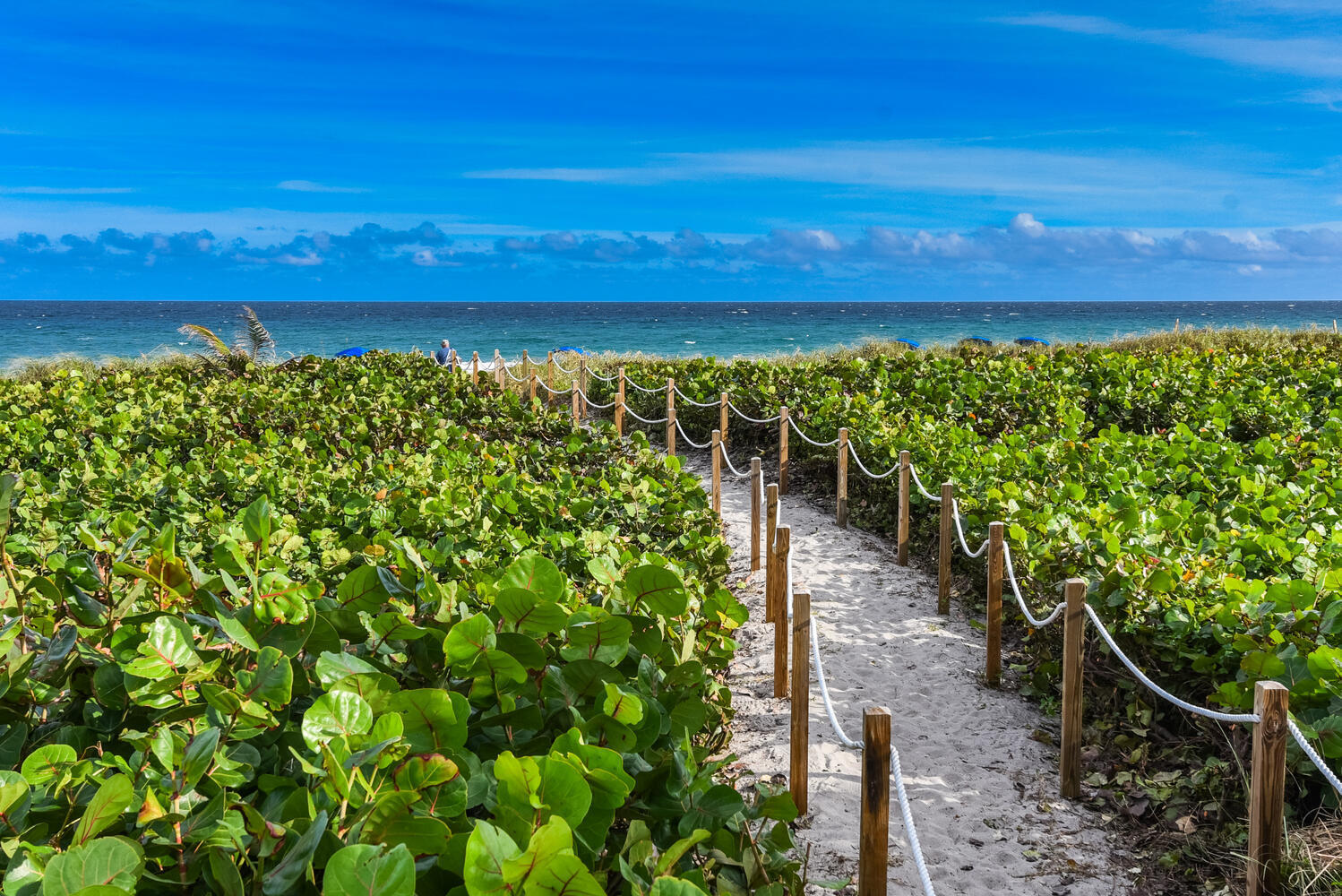 250 S Ocean Boulevard 258