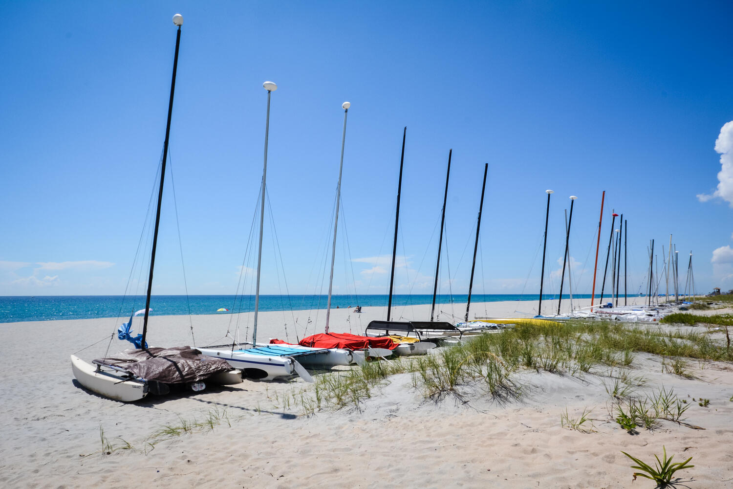 250 S Ocean Boulevard 258