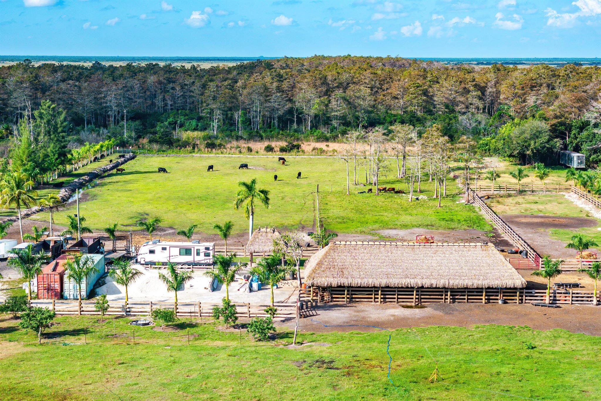 11409 Eagle Nest Drive