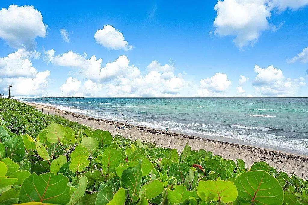 3200 S Ocean Boulevard C303
