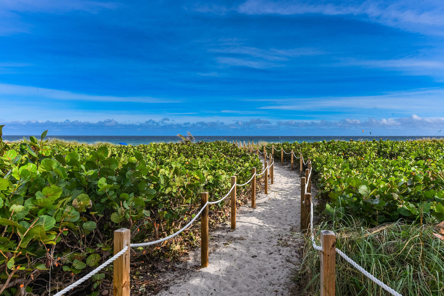 250 S Ocean Boulevard 272