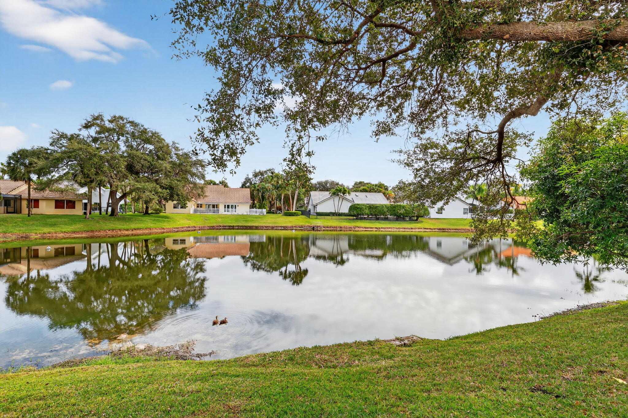 2946 Sabalwood Court