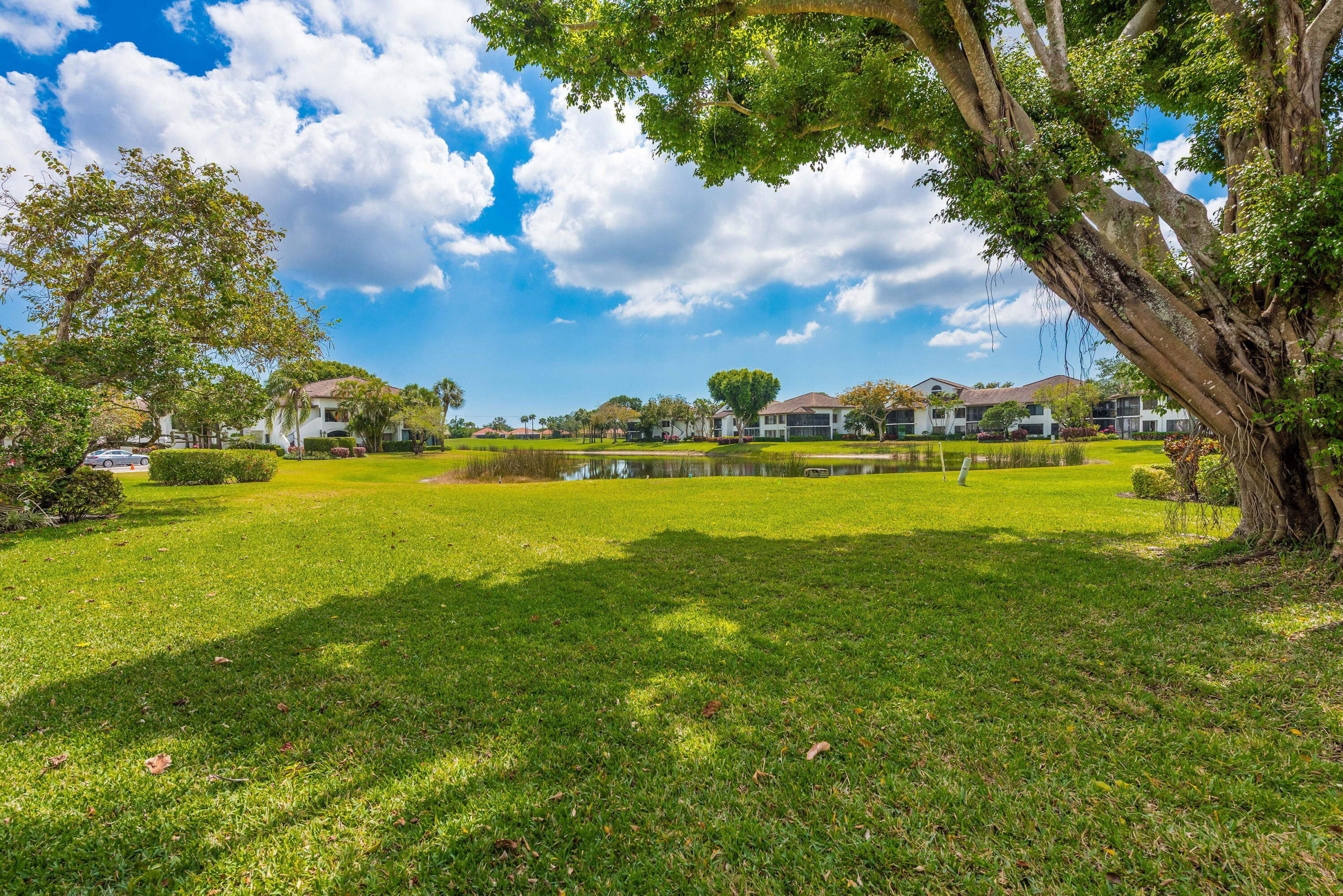 7338 Clunie Place 13701