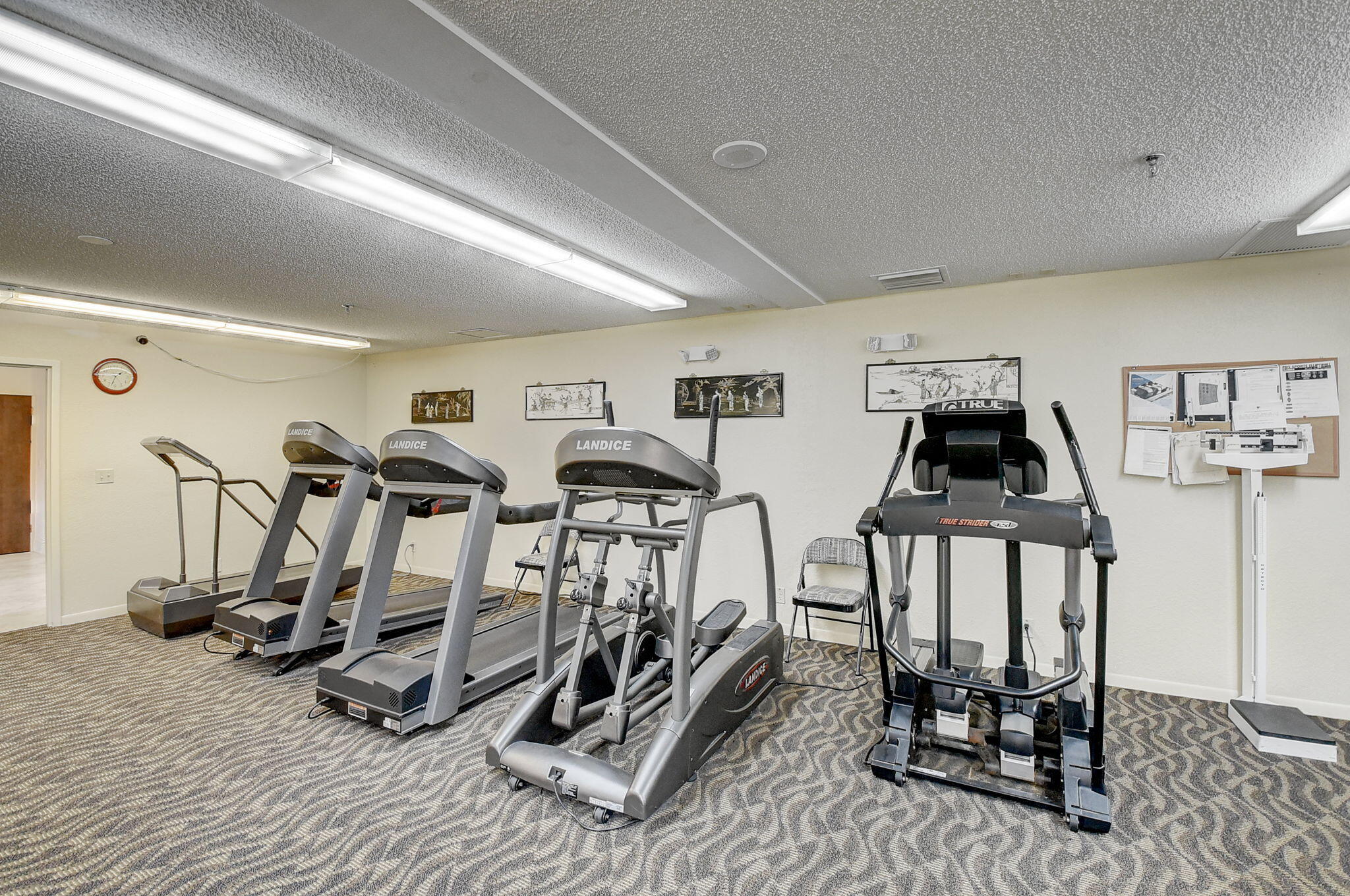 8350 Springlake Drive