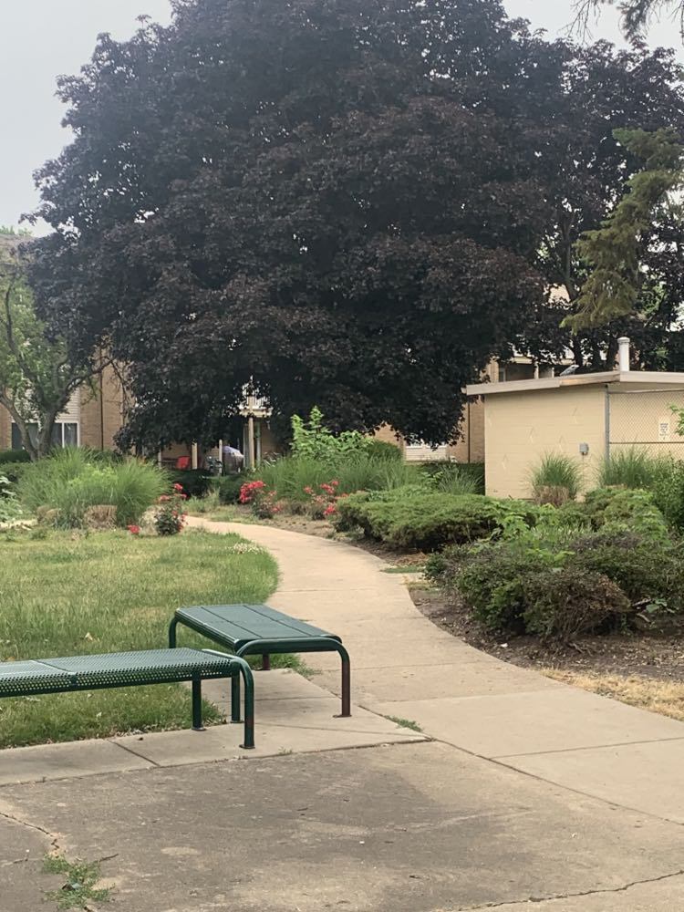 910 BEAU Drive Unit: 313