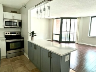 480 N McClurg Court Unit: 916