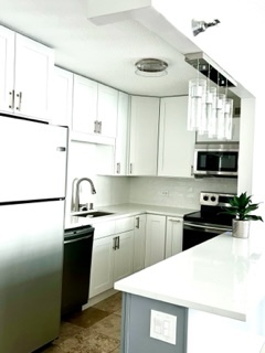 480 N McClurg Court Unit: 916