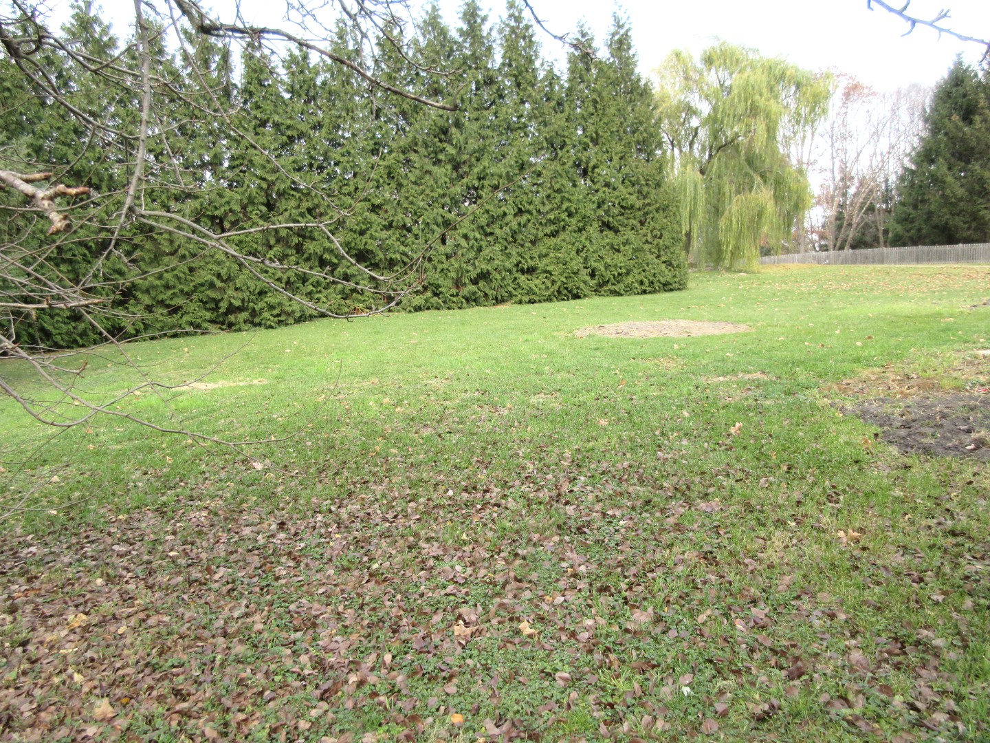 517 E Jackson Street