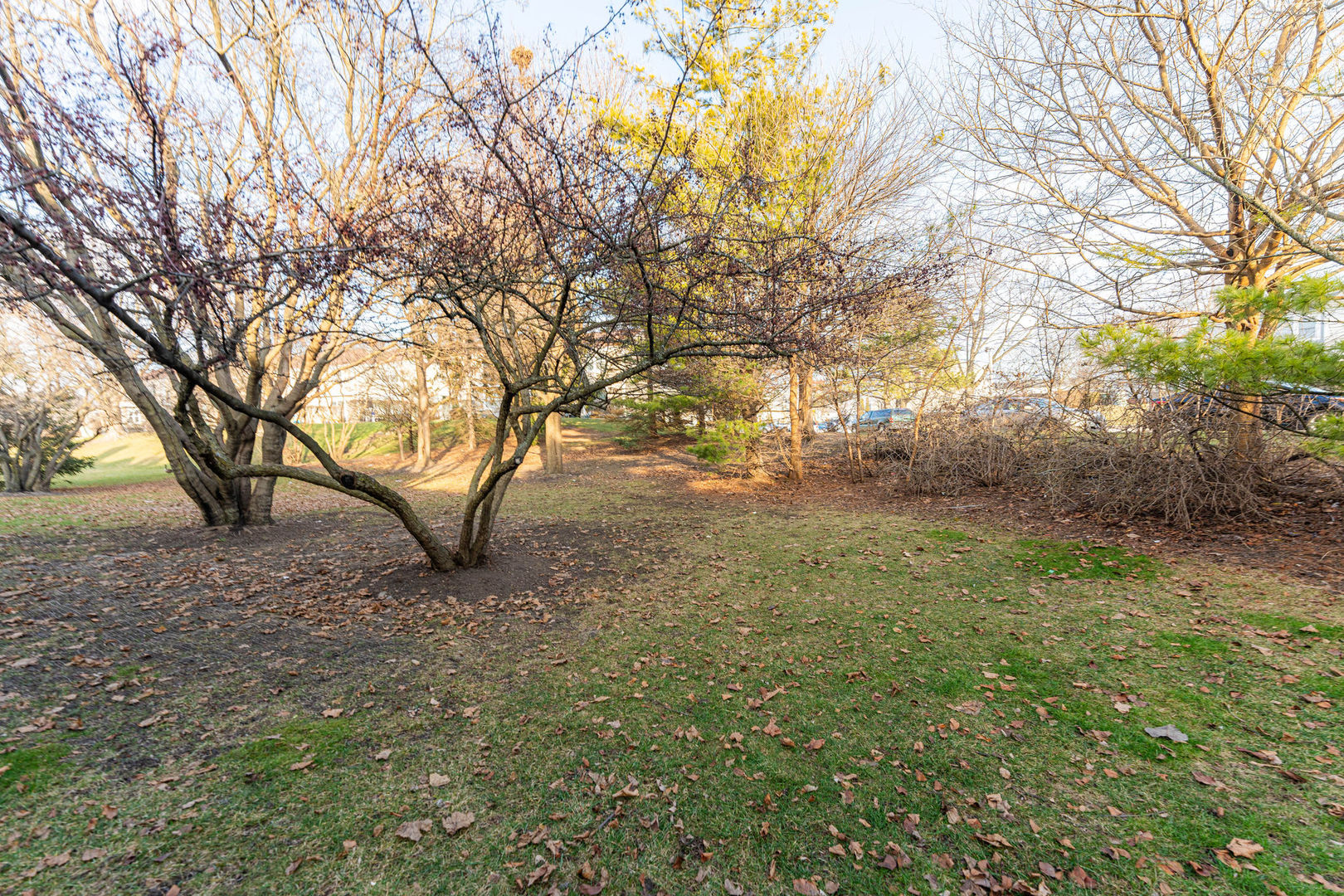 1969 Blackberry Lane