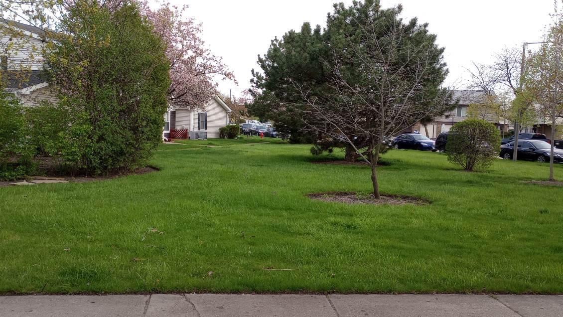 1313 Kingsbury Drive