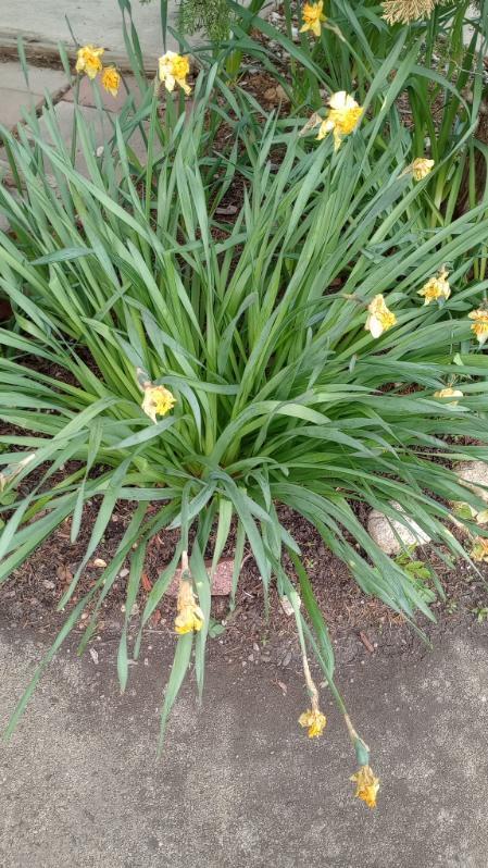 1313 Kingsbury Drive