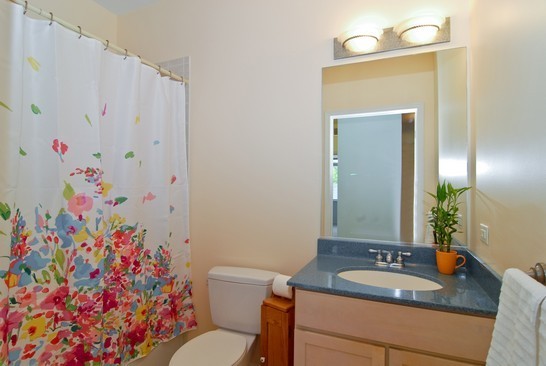 106 S Ridgeland Avenue Unit: 417