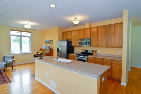 106 S Ridgeland Avenue Unit: 417