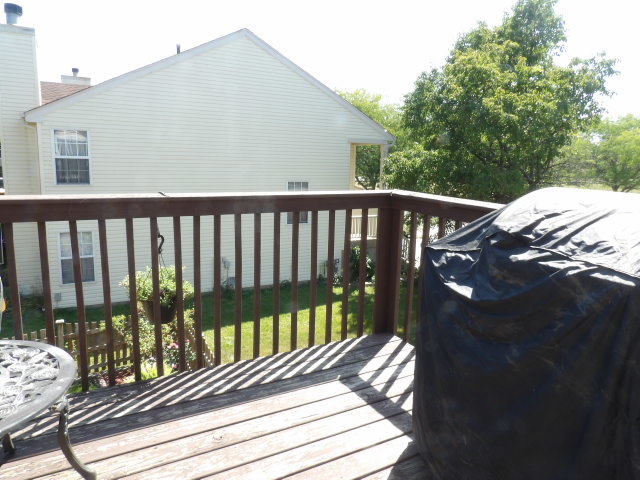 403 Gloria Lane