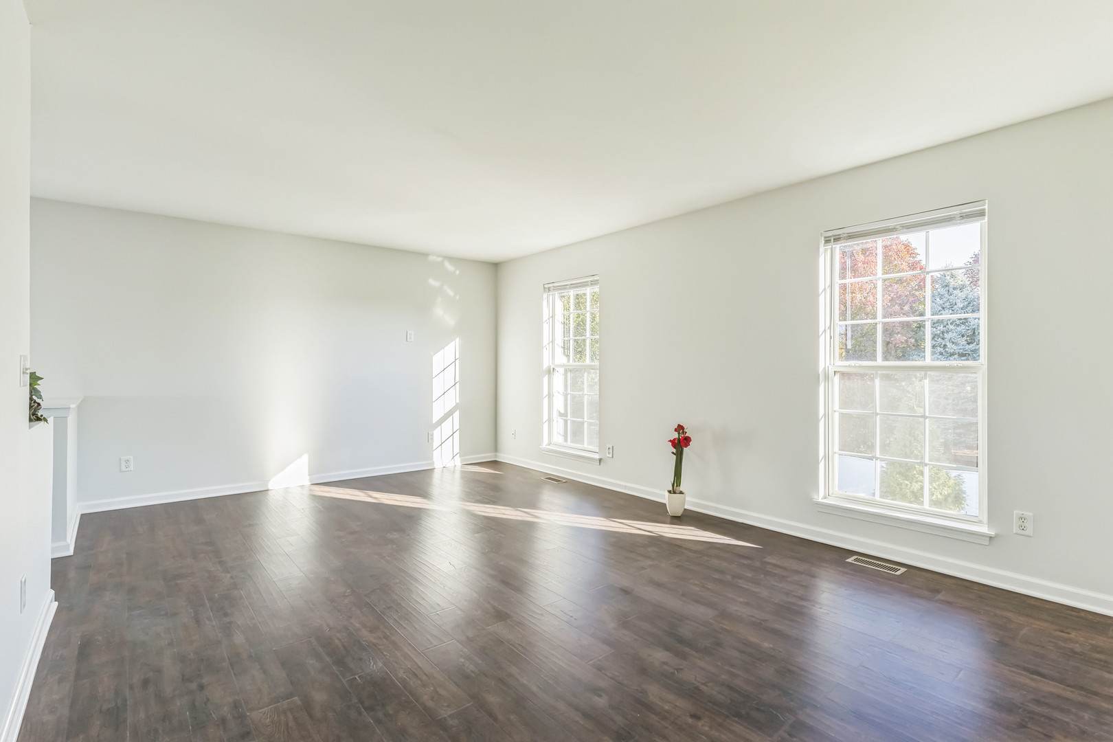 409 Newport Circle