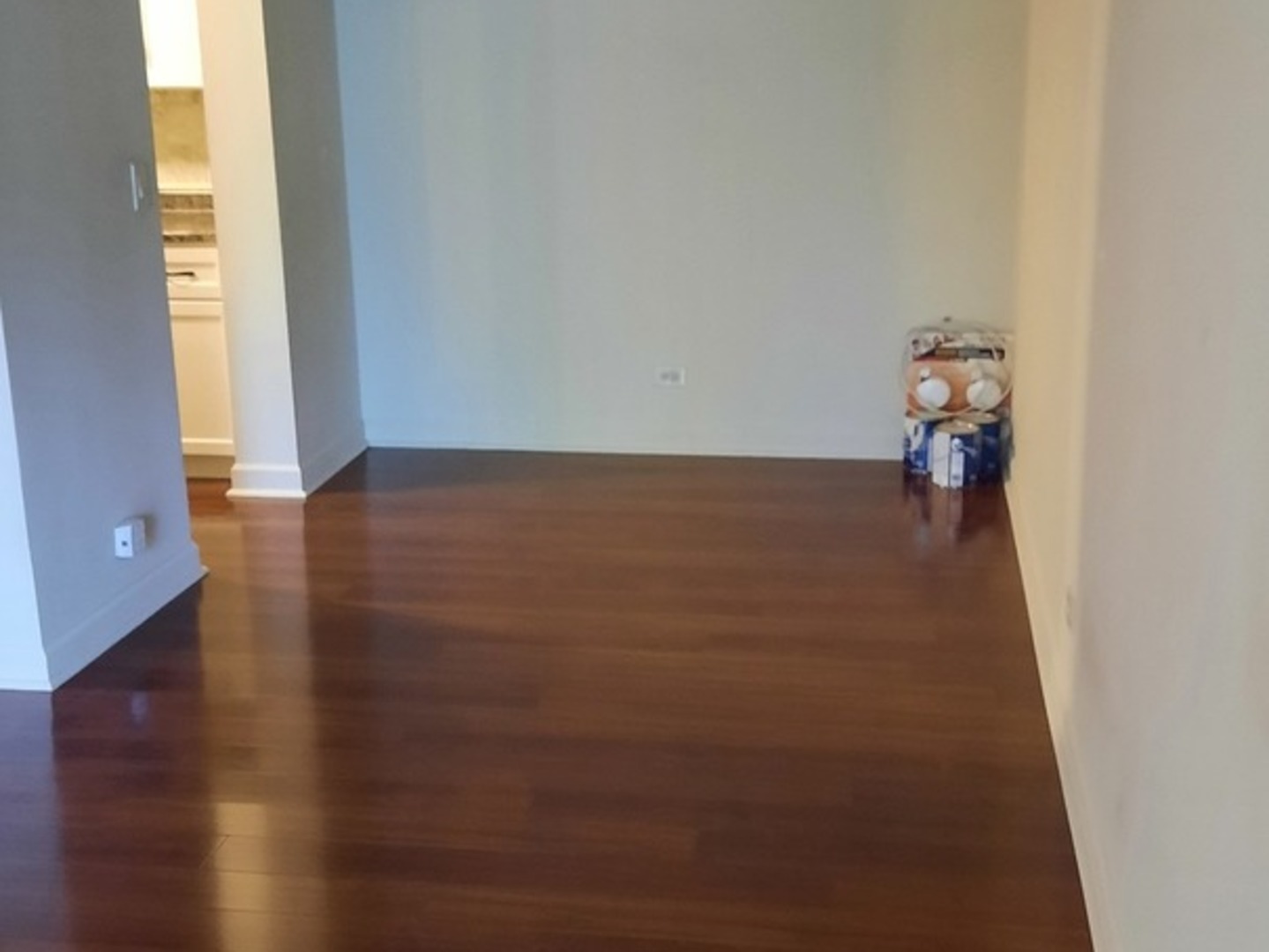 300 W Fullerton Avenue Unit: 127