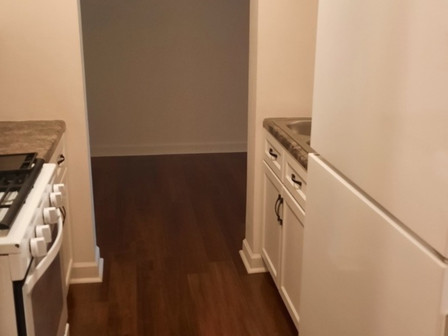 300 W Fullerton Avenue Unit: 127