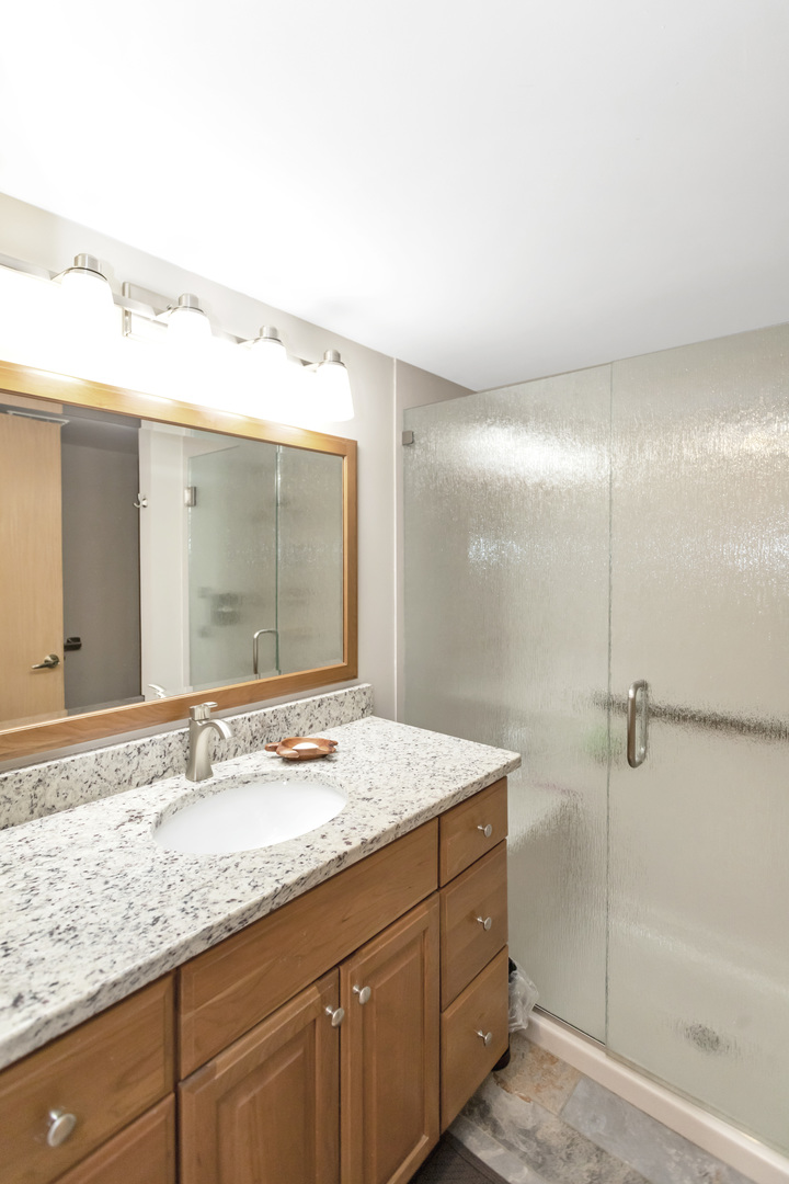 480 E Montrose Avenue Unit: 209