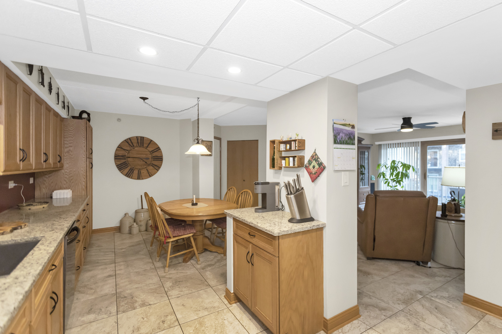 480 E Montrose Avenue Unit: 209