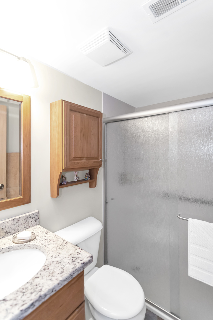 480 E Montrose Avenue Unit: 209