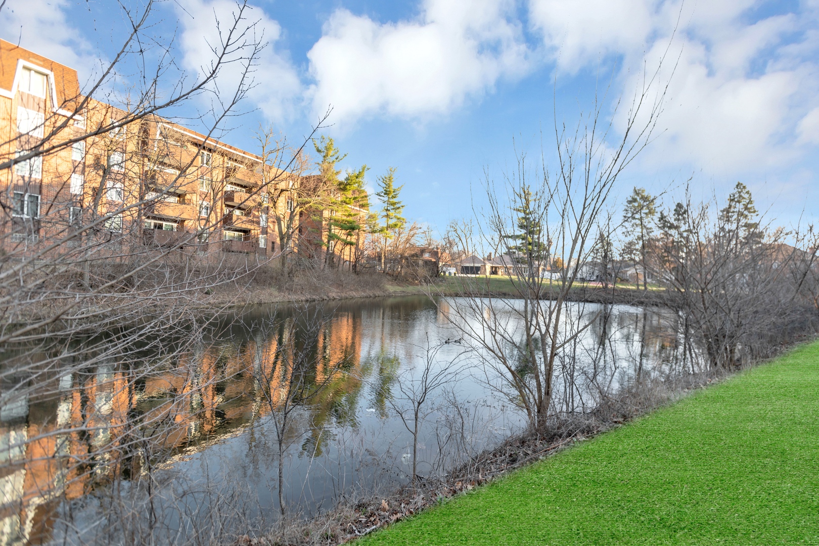 480 E Montrose Avenue Unit: 209