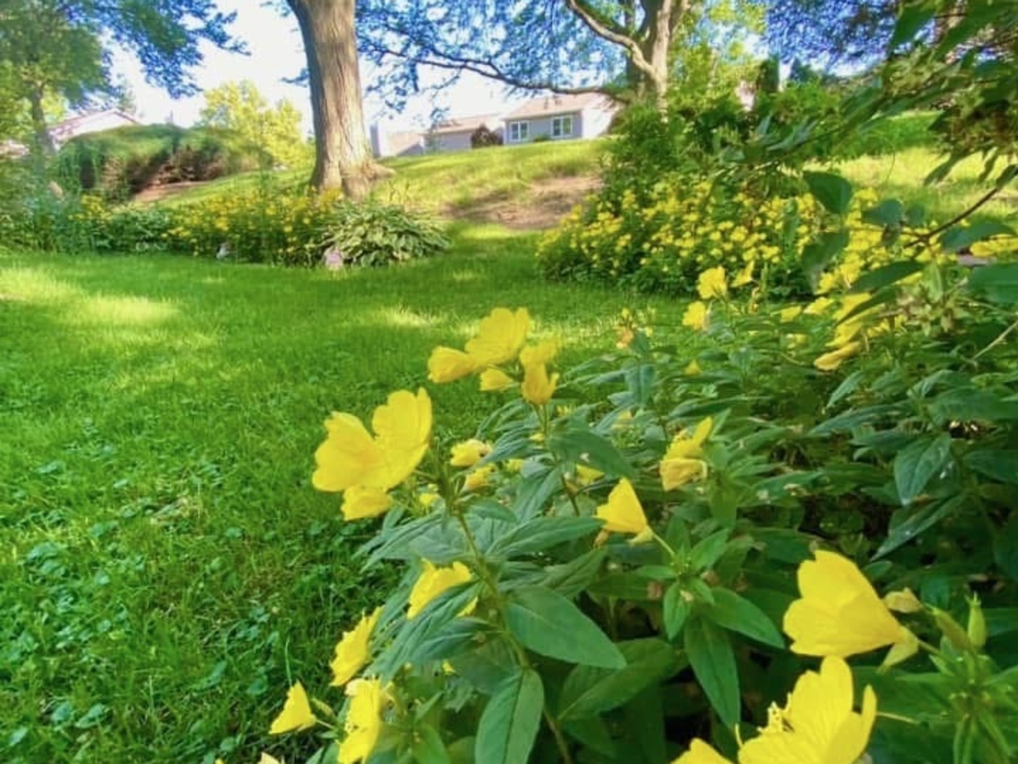 221 Pebble Creek Drive