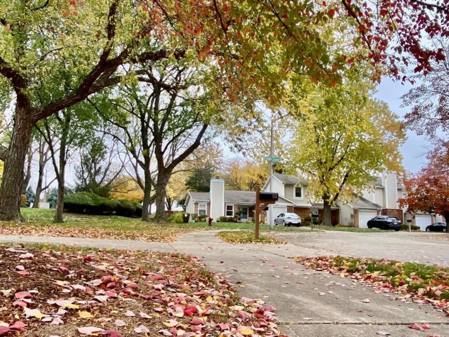 221 Pebble Creek Drive