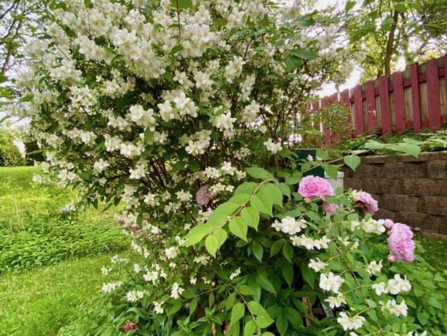 221 Pebble Creek Drive