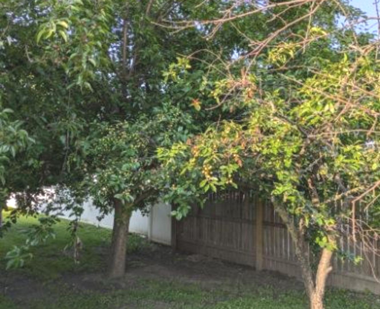 21W185 Tee Lane Unit: C