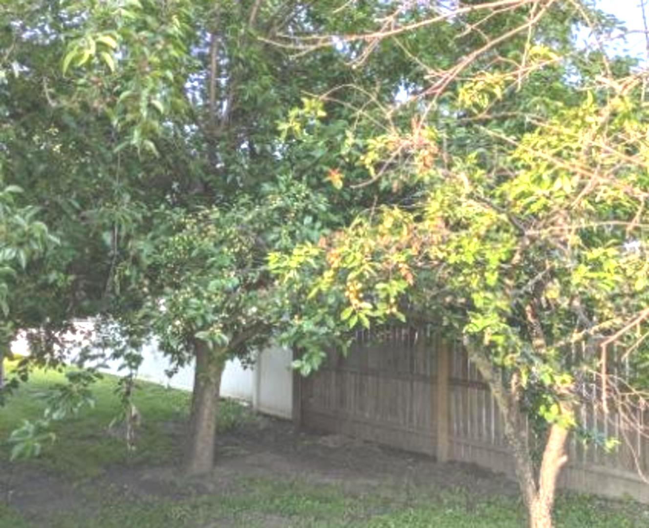 21W185 Tee Lane Unit: A