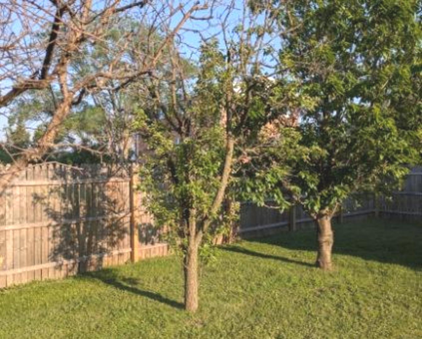 21W185 Tee Lane Unit: A