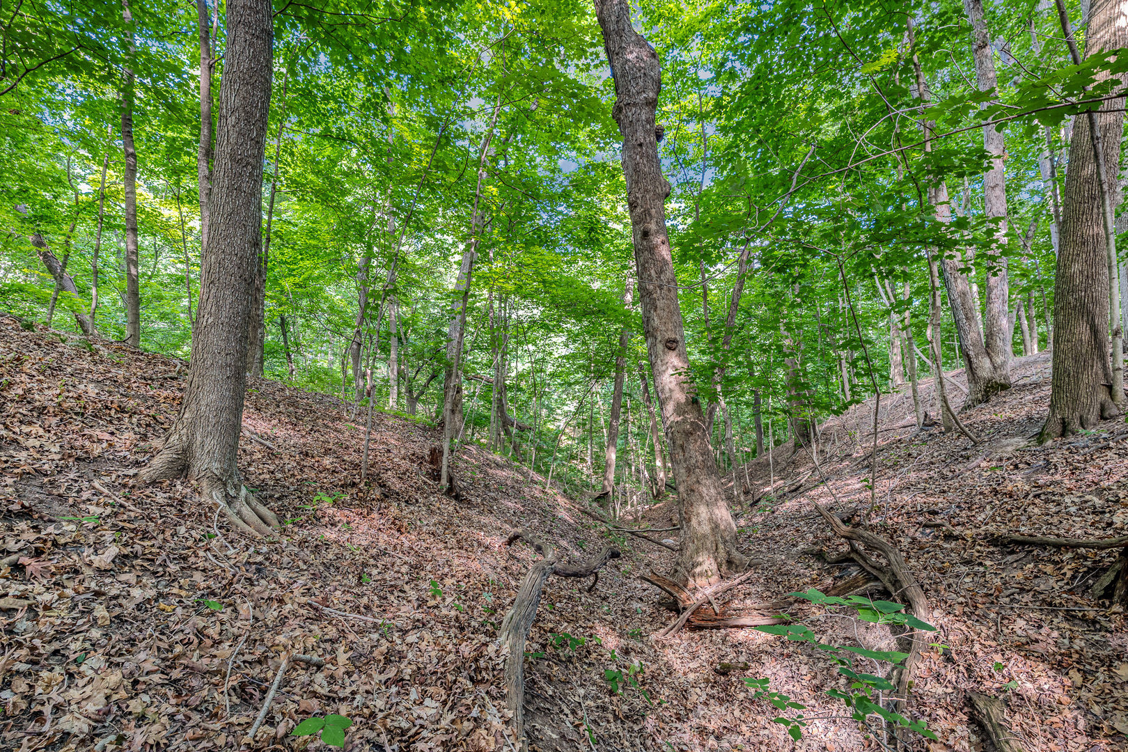 9.58 Acres E US Route 6