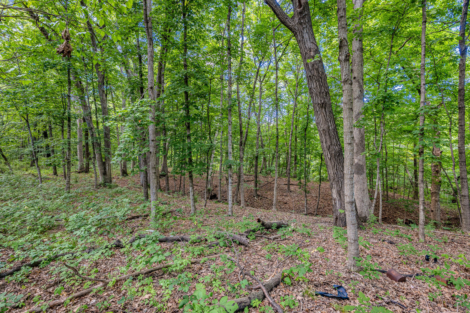 9.58 Acres E US Route 6