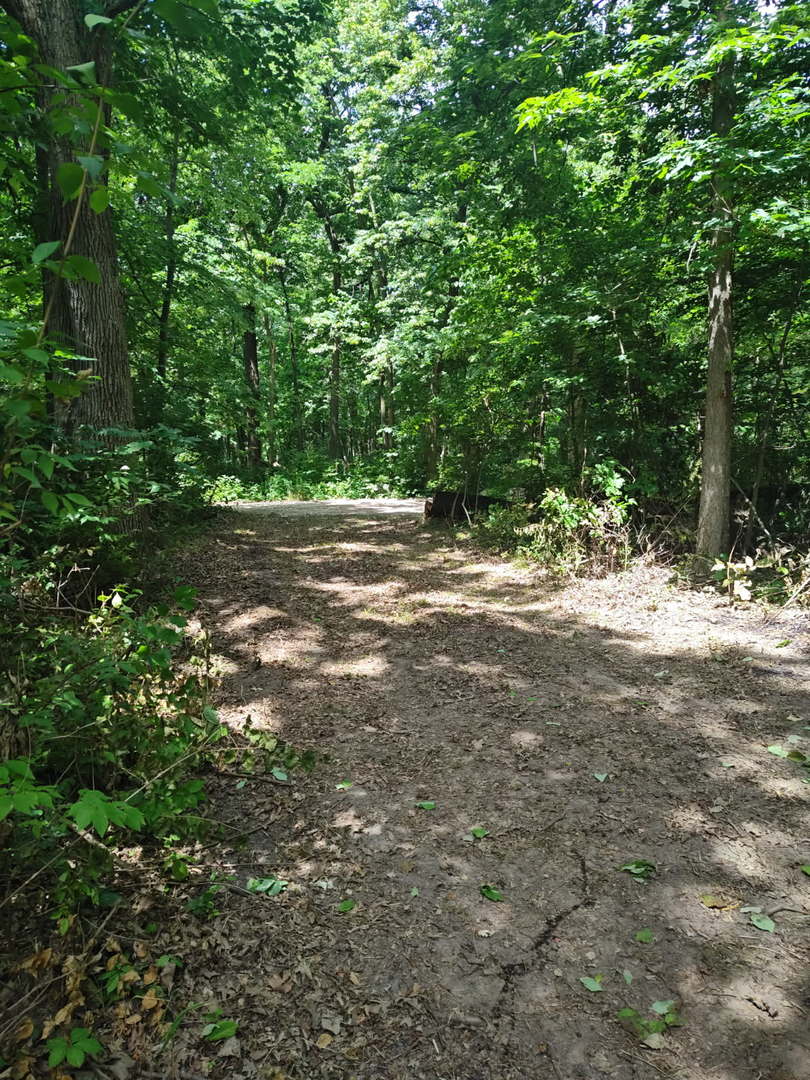 9.58 Acres E US Route 6