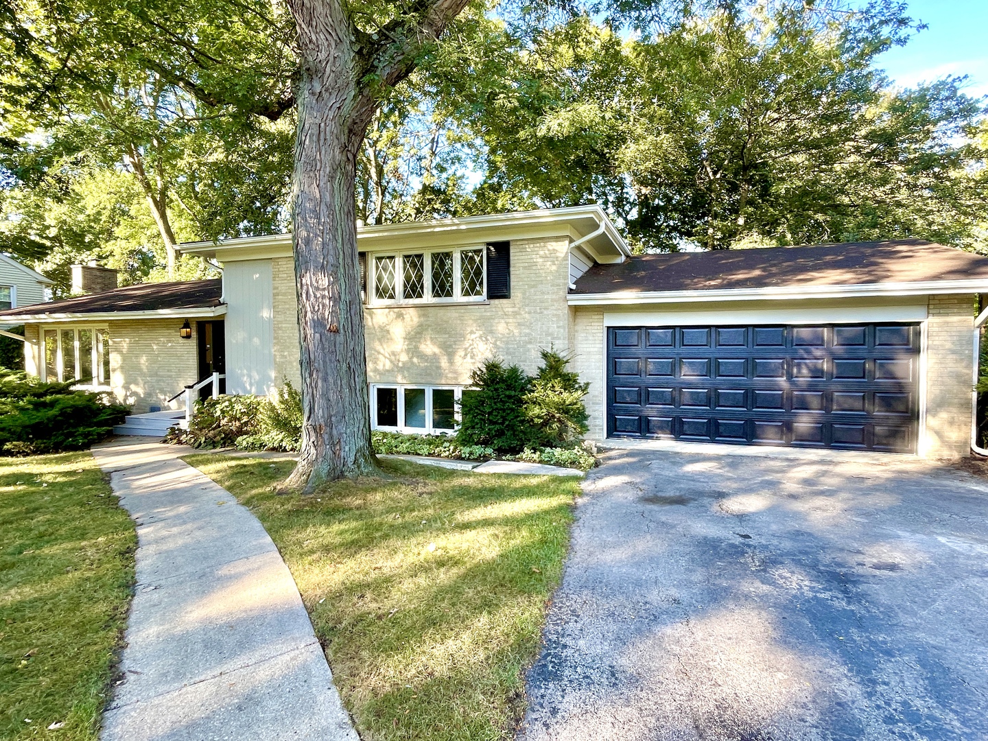 3S078 Blackcherry Lane