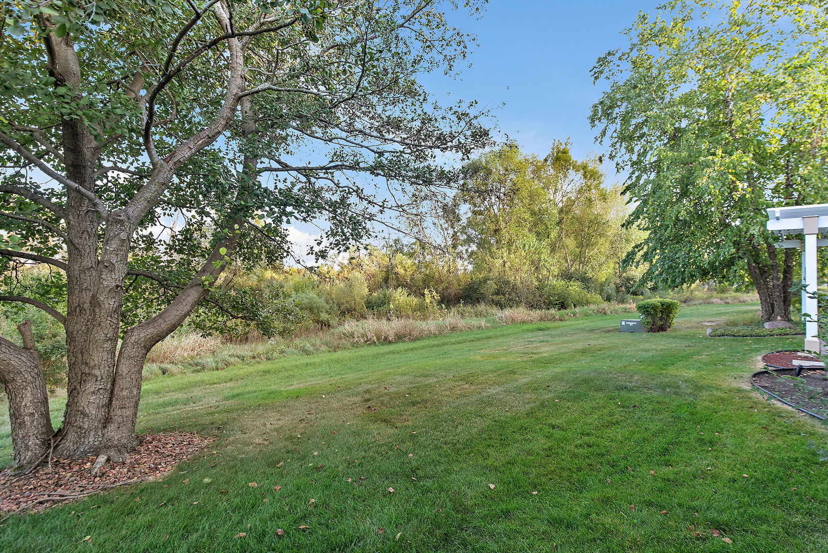 11492 Stonewater Crossing