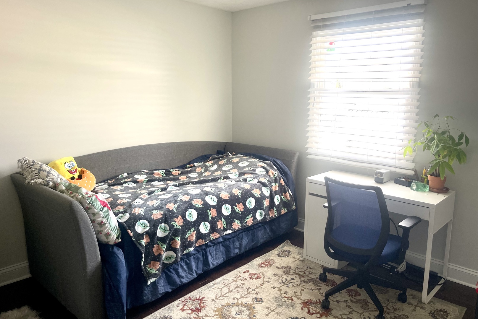 24914 W Illini Drive