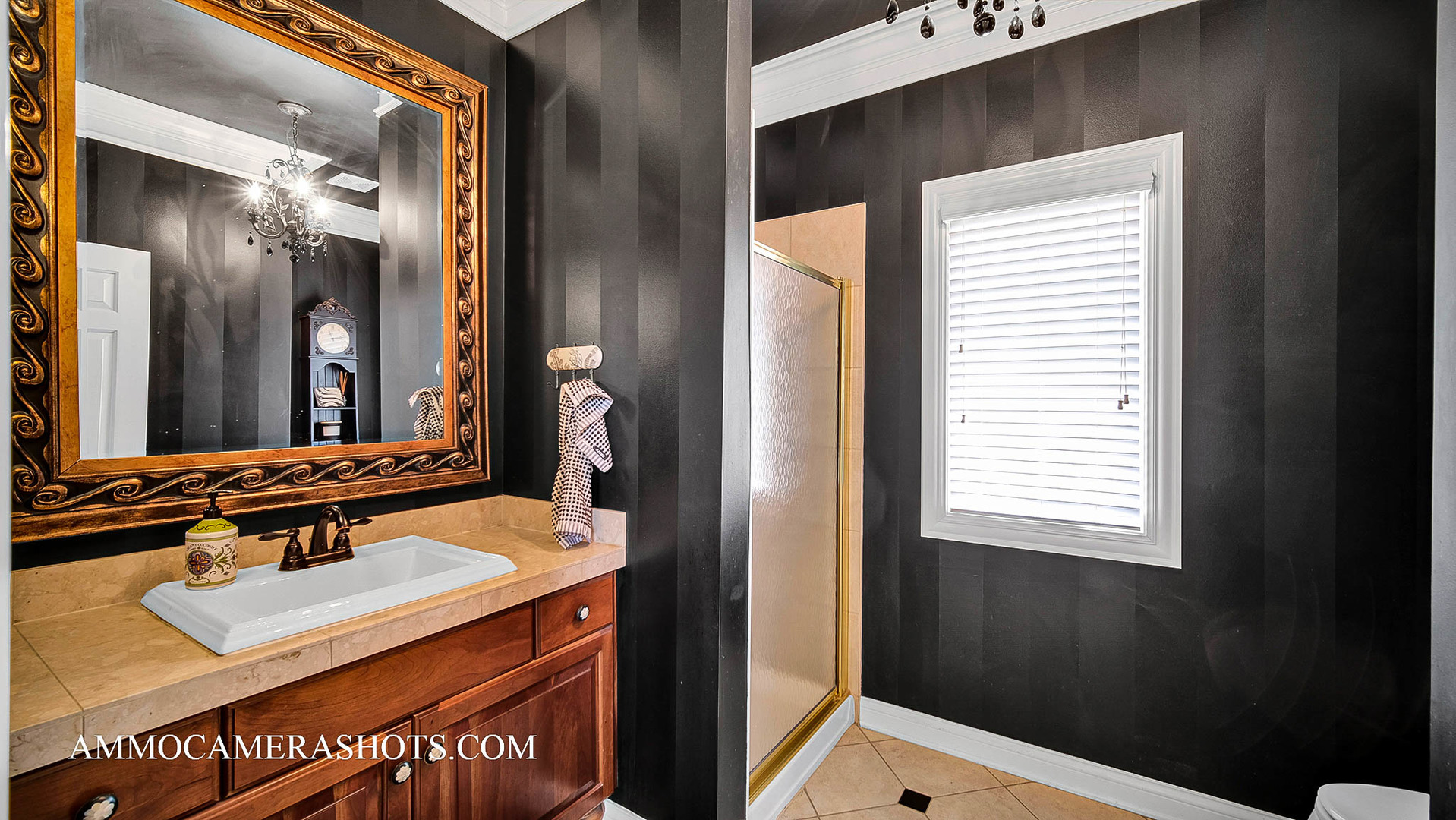 3N651 James Fenimore Cooper Lane