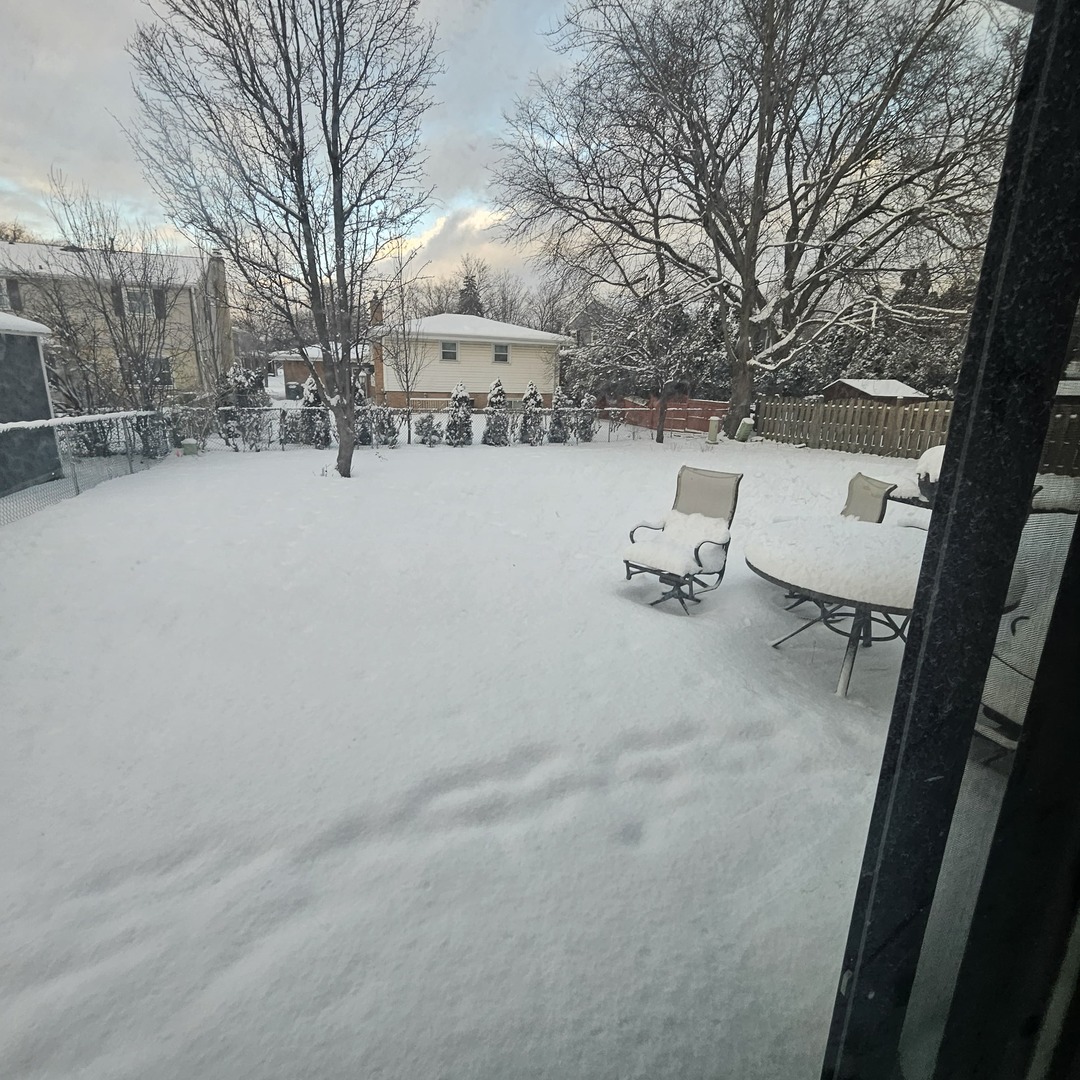 1406 Peterson Avenue